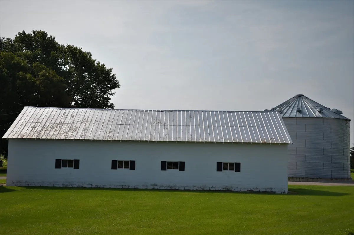 Dairy Farm Shed Design & Construction Cost in Pakistan