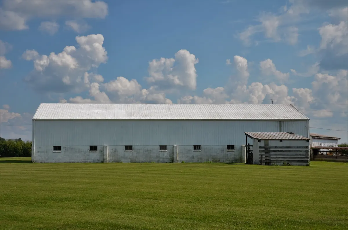 Dairy Farm Sheds in Islamabad