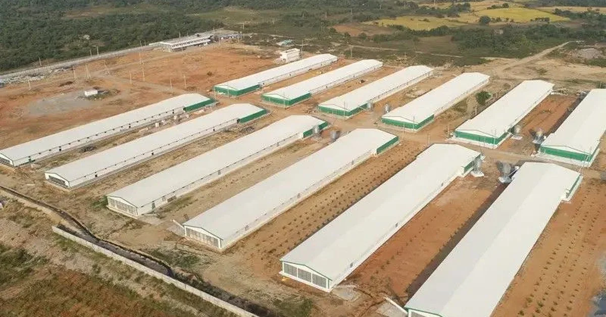 Goat Farm Construction in Islamabad